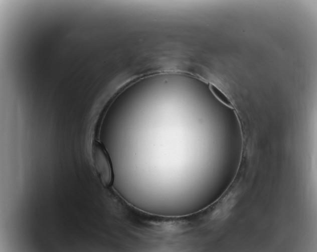 X0000090420103200707201125