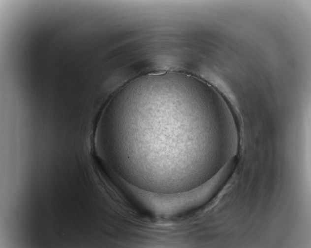 X0000090420105200707201125