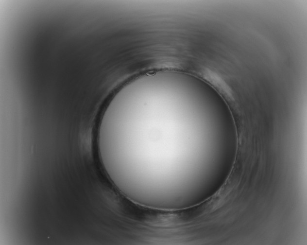 X0000090420108200707201125