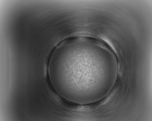 X0000090420109200707201125