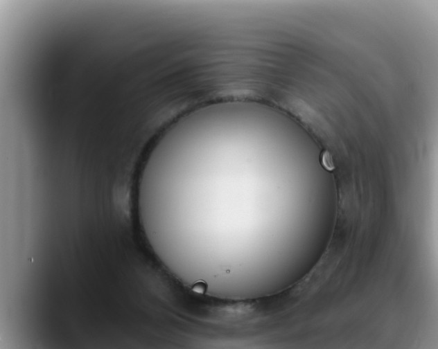 X0000090420112200707201125