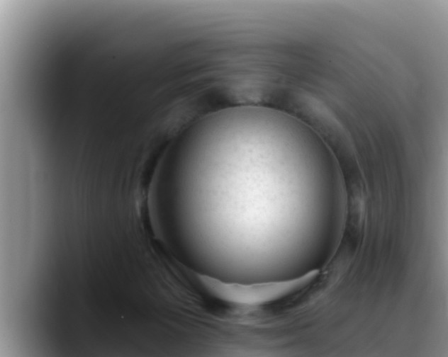 X0000090420125200707201125