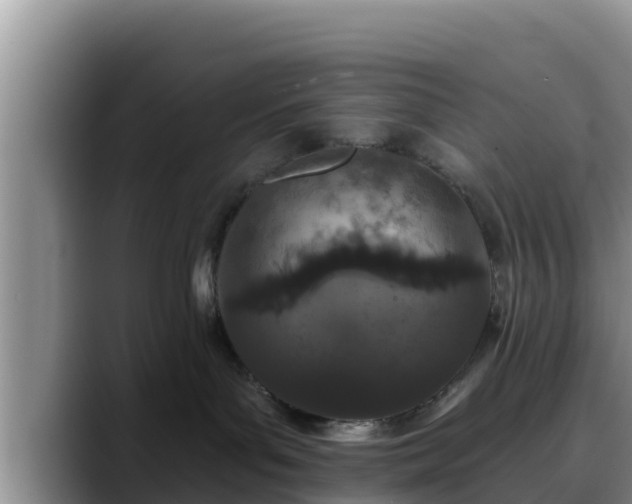 X0000090420143200707201125