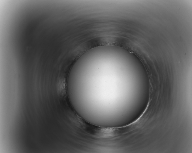 X0000090420144200707201125