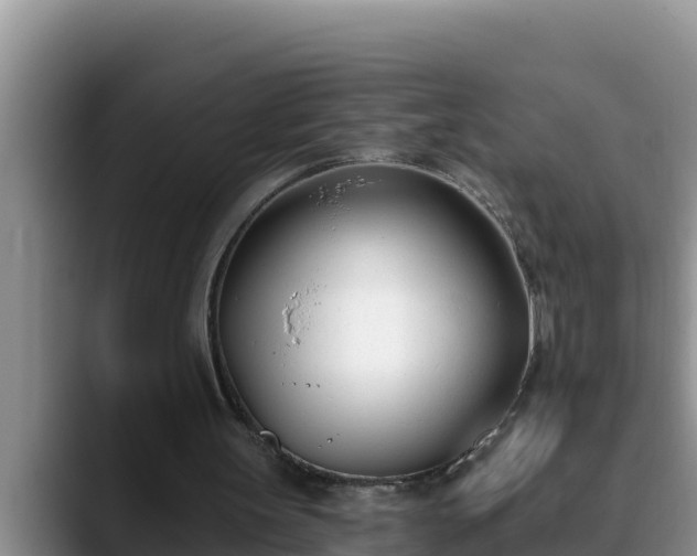 X0000090420147200707201124