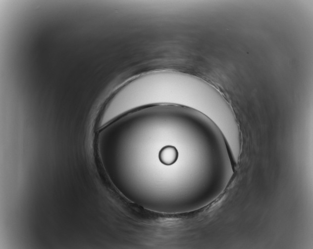 X0000090420150200707201124