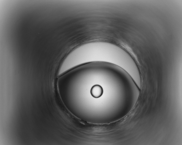 X0000090420154200707201124