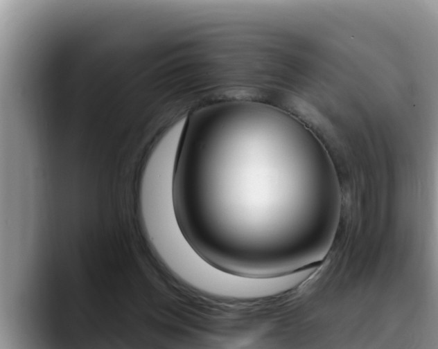 X0000090420158200707201124