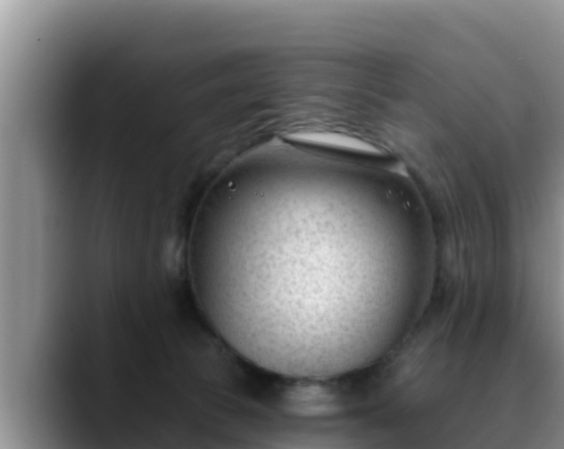 X0000090420177200707201125