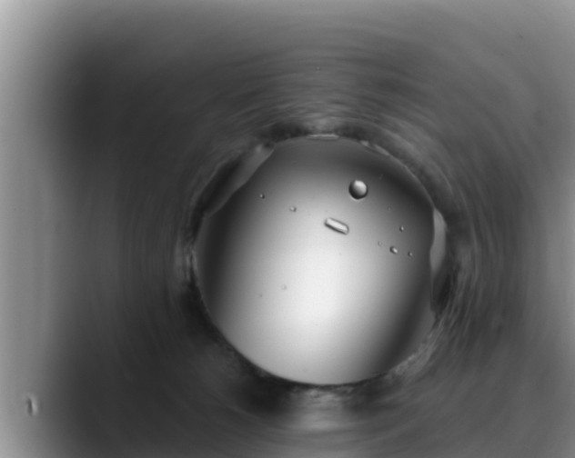 X0000090420180200707201125