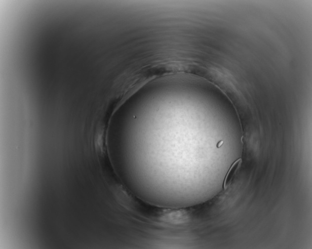 X0000090420185200707201125