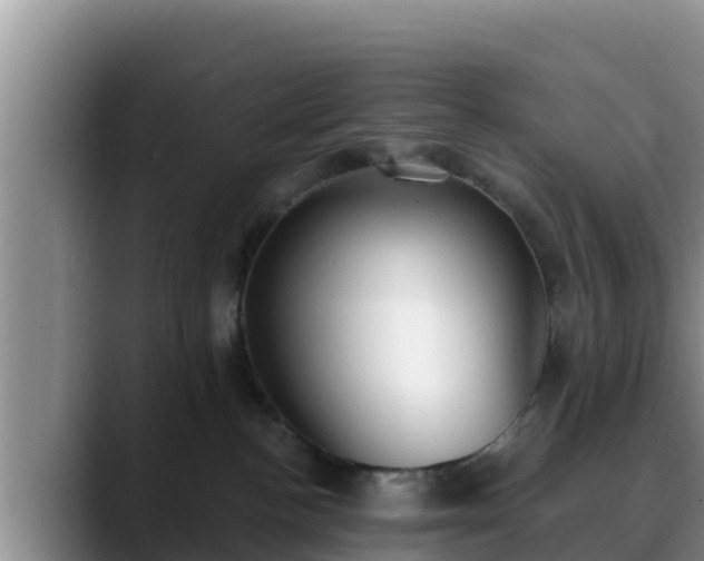 X0000090420188200707201125