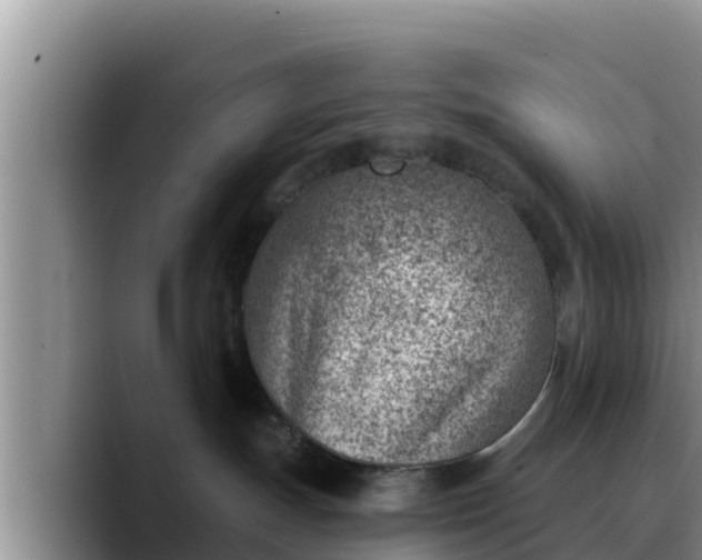 X0000090420191200707201125