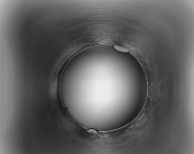 X0000090420194200707201124