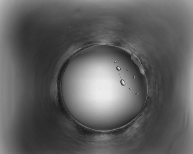 X0000090420198200707201124