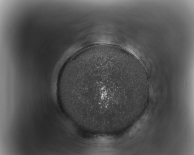 X0000090420199200707201124