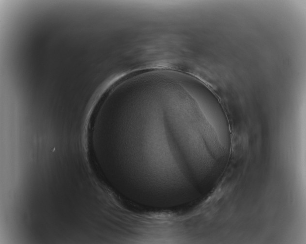 X0000090420200200707201124