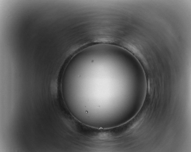 X0000090420204200707201124