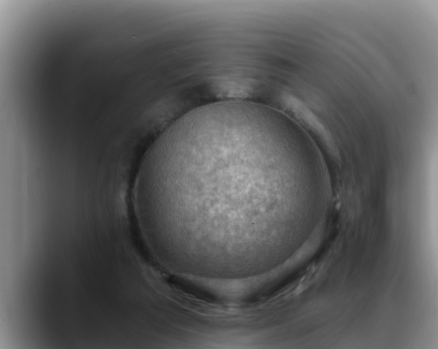 X0000090420209200707201124