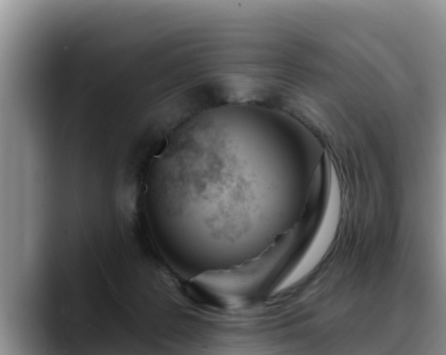 X0000090420219200707201124