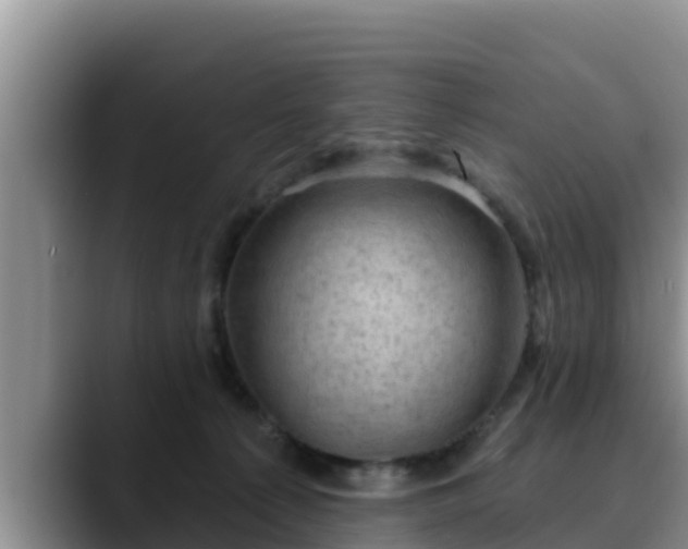 X0000090420225200707201124