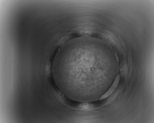 X0000090420231200707201124