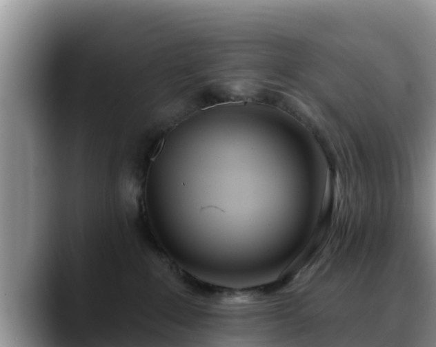 X0000090420235200707201124