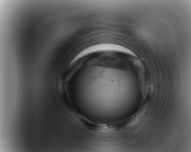 X0000090420239200707201124