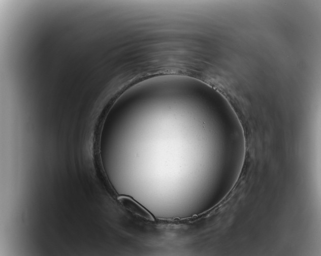 X0000090420242200707201123