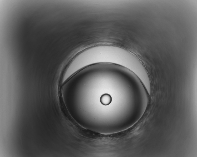 X0000090420244200707201123