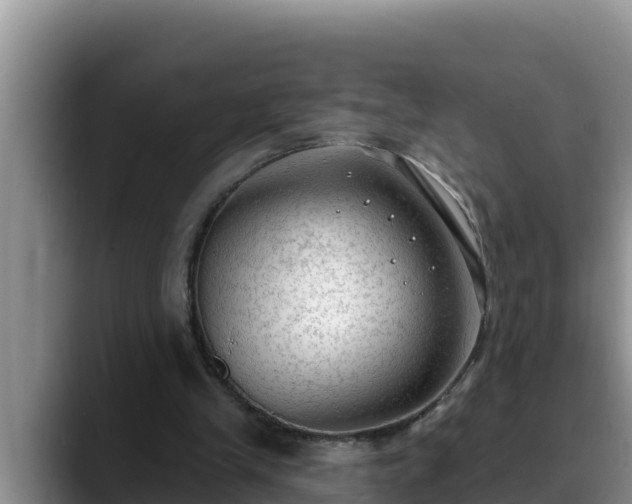 X0000090420245200707201123