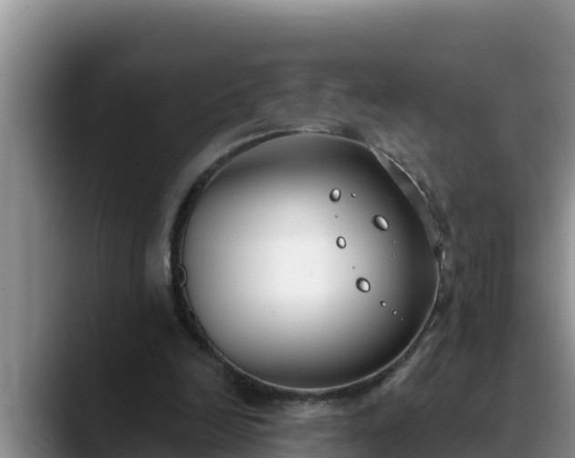 X0000090420246200707201123