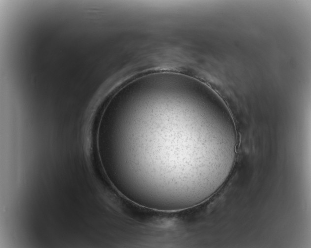 X0000090420247200707201123