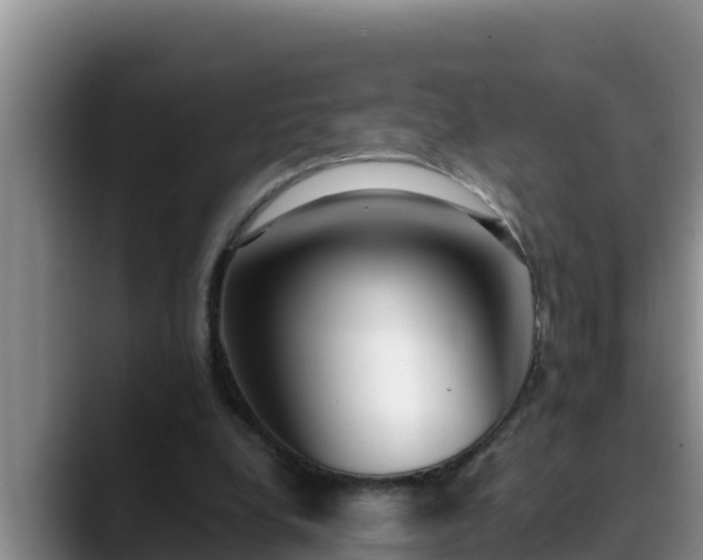 X0000090420248200707201123