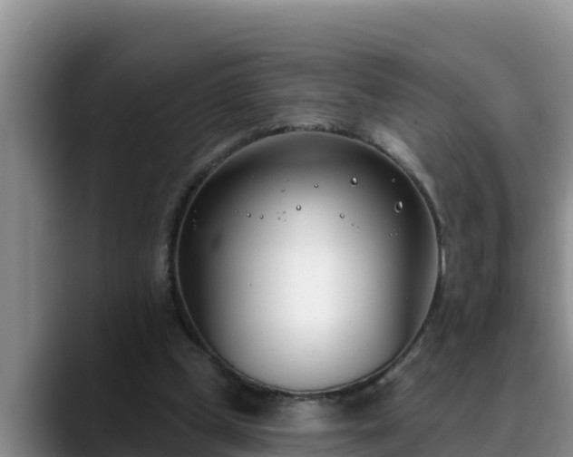 X0000090420249200707201123