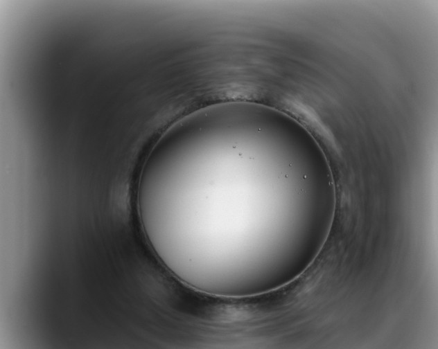 X0000090420250200707201123