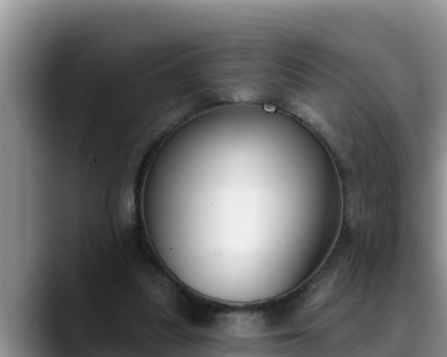 X0000090420251200707201123