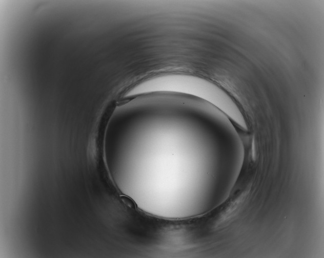 X0000090420252200707201123