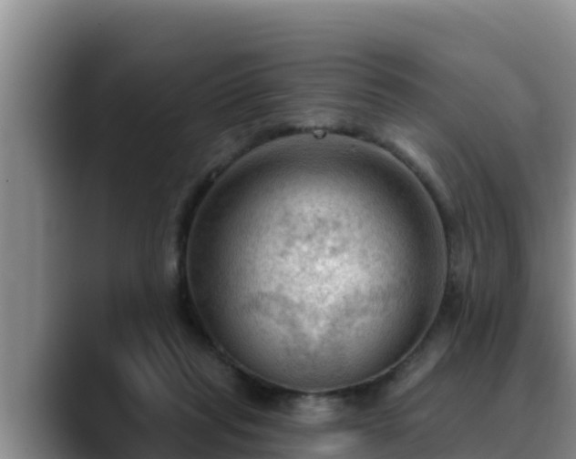 X0000090420261200707201123