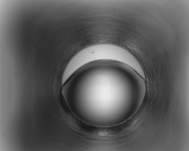 X0000090420264200707201123