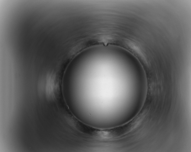 X0000090420265200707201123