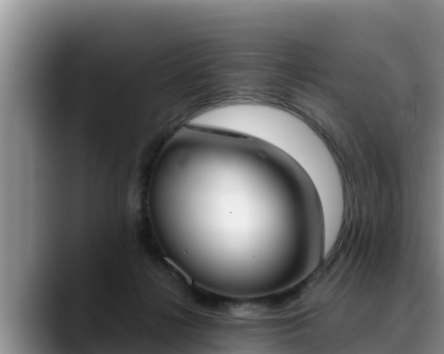 X0000090420268200707201123