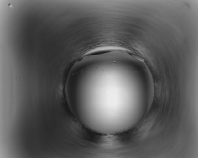 X0000090420269200707201123