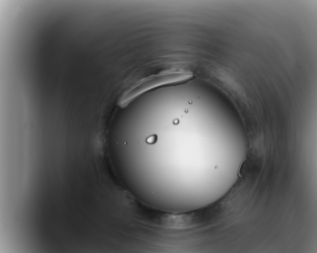 X0000090420277200707201123