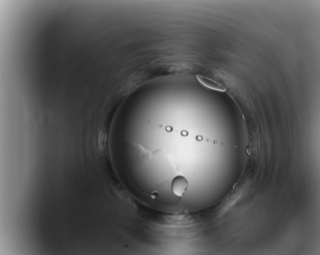 X0000090420281200707201124