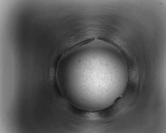 X0000090420283200707201124