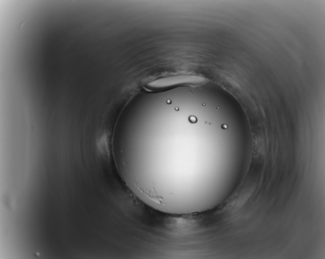 X0000090420286200707201124