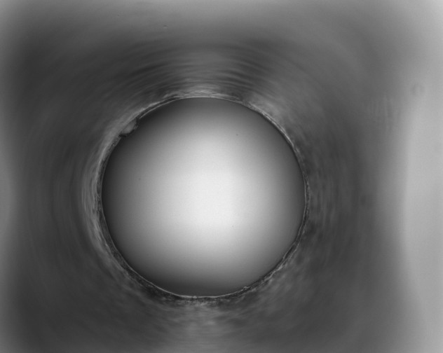 X0000090420289200707201123