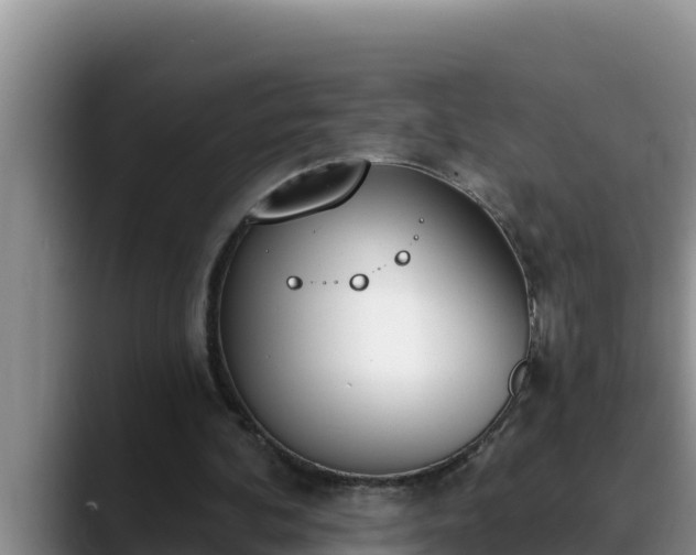 X0000090420292200707201123