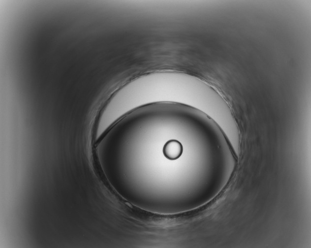 X0000090420293200707201123